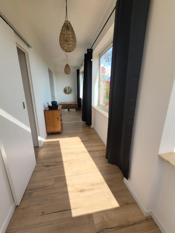 Gite Tomasini Apartment *