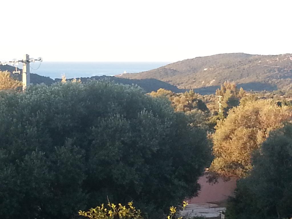 Apartment Gite Tomasini Monacia-d'Aullene